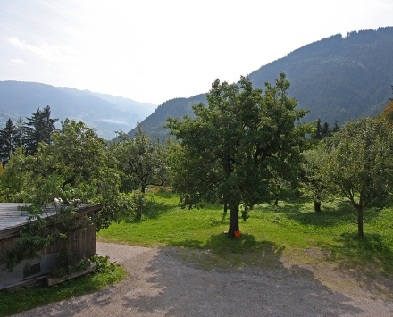 Freuen Sie sich auf einen ineresseanten Rundgang im Obstgarten.